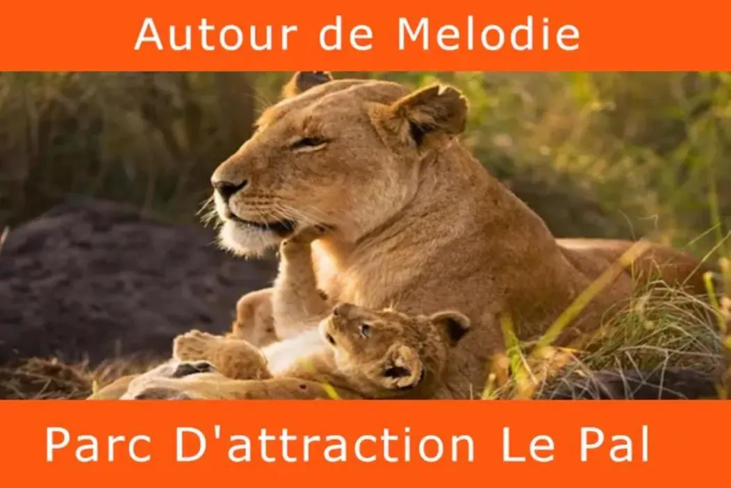 Melodie Lumineuse Et Spacieuse A 6Km Du Pal Dompierre-sur-Besbre