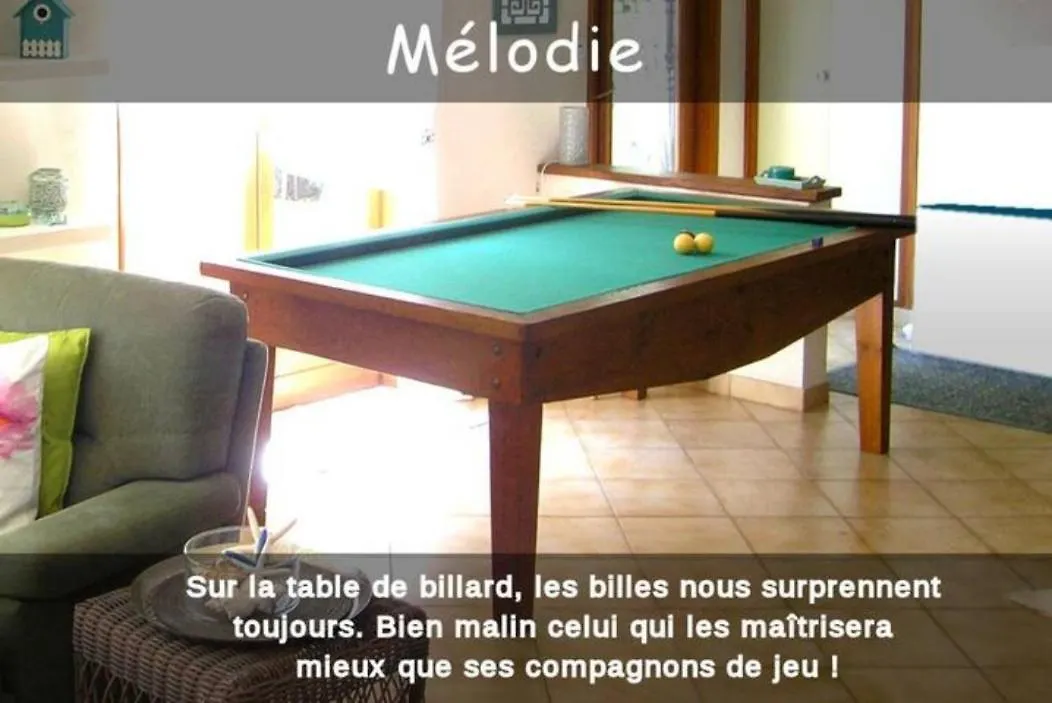 Guest house Melodie Lumineuse Et Spacieuse A 6Km Du Pal Dompierre-sur-Besbre France