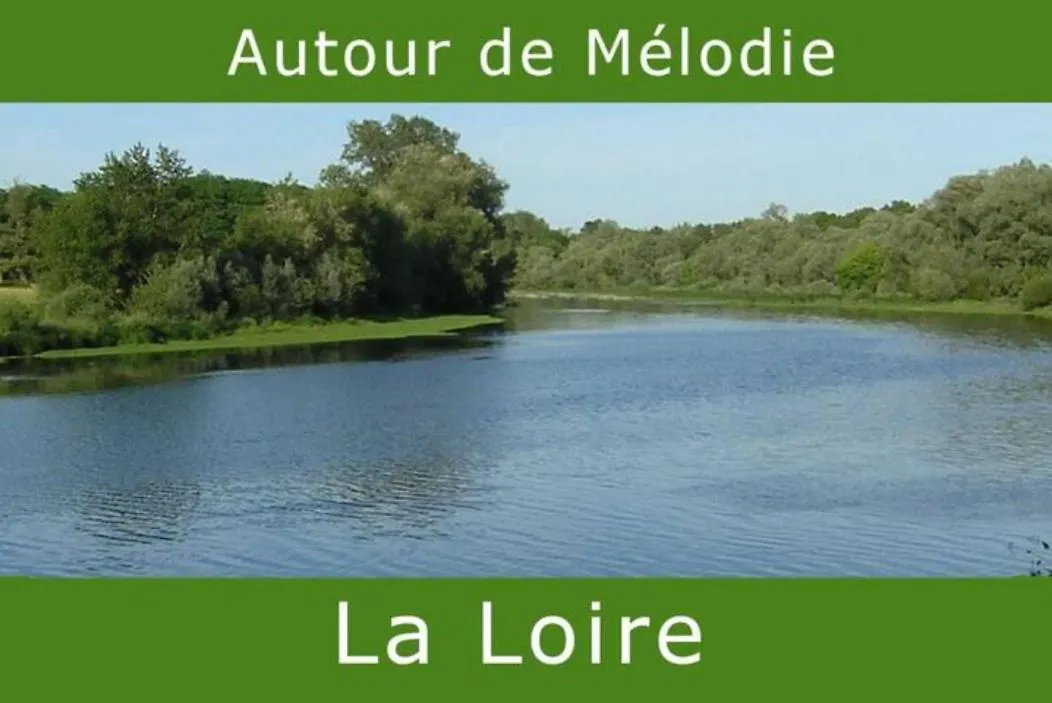 Melodie Lumineuse Et Spacieuse A 6Km Du Pal Dompierre-sur-Besbre Guest house