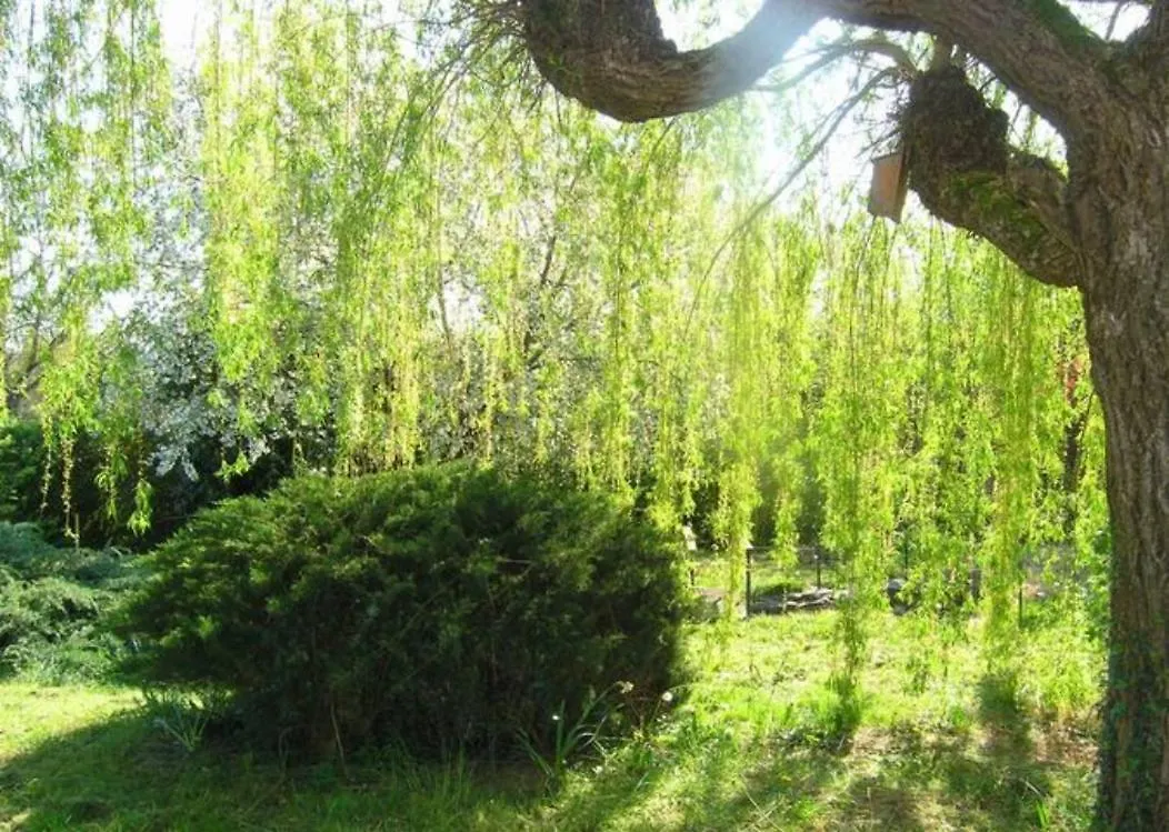 Melodie Lumineuse Et Spacieuse A 6Km Du Pal Dompierre-sur-Besbre 0*,  France