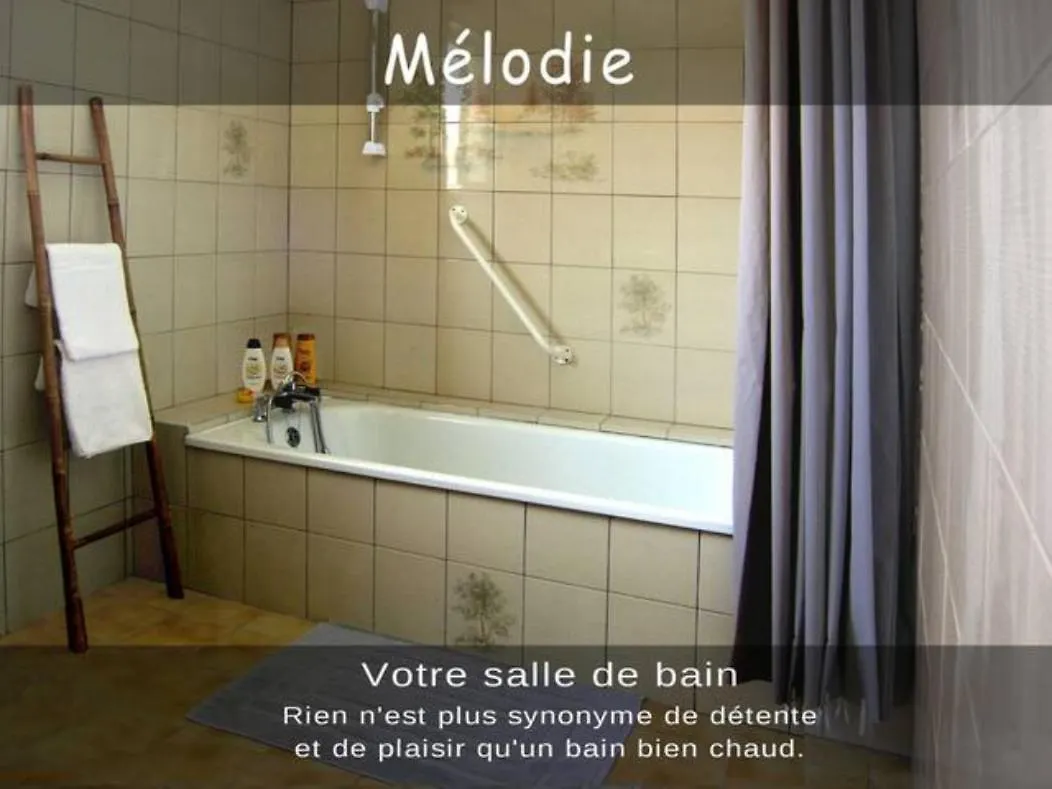 Melodie Lumineuse Et Spacieuse A 6Km Du Pal Dompierre-sur-Besbre 0*,