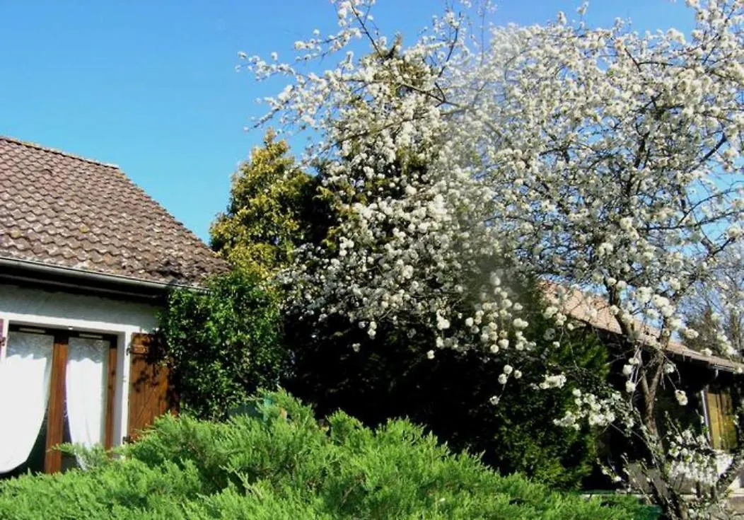 Melodie Lumineuse Et Spacieuse A 6Km Du Pal Dompierre-sur-Besbre Guest house